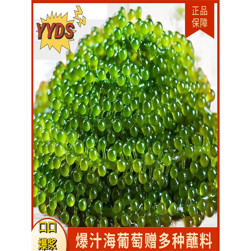 网红海葡萄100g新鲜即食盐