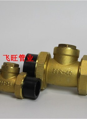 4分20b 6分25 40 50PE止回阀逆止阀单向阀 PE黑色自来水管件配件