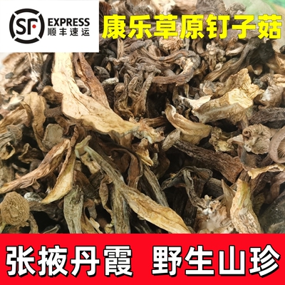 祁连山特产肃南蘑菇精品钉子菇自然晾晒干货野生山蘑菇500g边麻菇