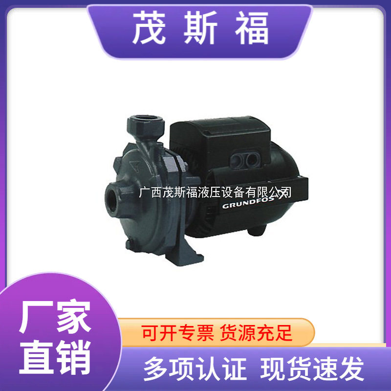 NSBasic3-40格兰富家用单相小型端吸泵冷水机循环泵三相离心泵