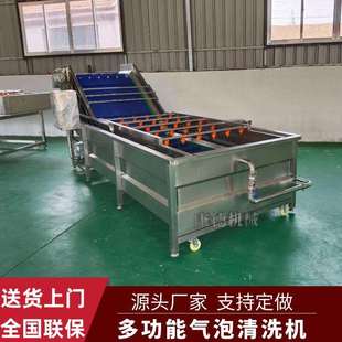 腌渍姜片脱盐气泡清洗机青梅清洗风干线柠檬百香果全自动清洗机