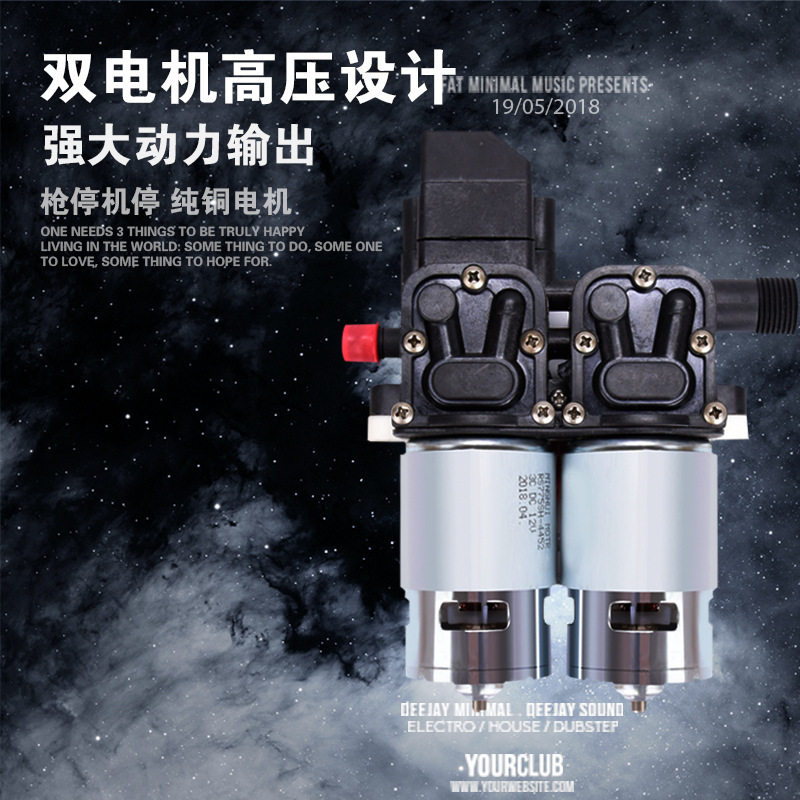 车载双泵高压便携洗车水泵
