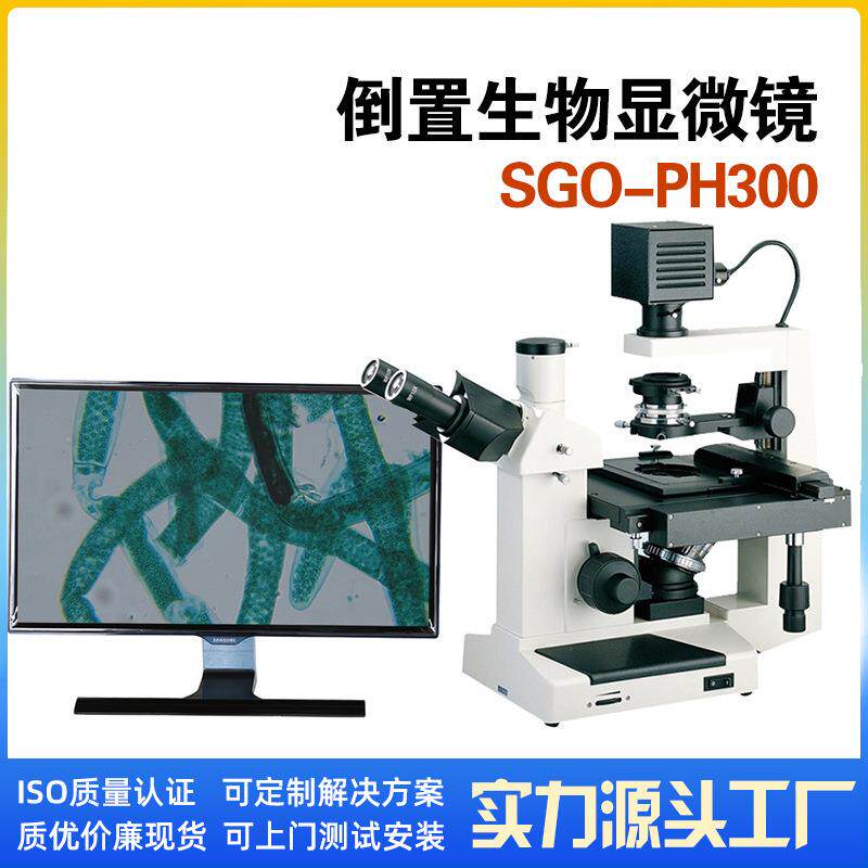 生物显微镜拍照测量自动计数SGO-PH300可放培养皿倒置生物显微镜