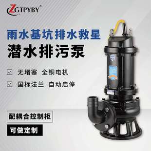 国标WQ污水泵大流量防洪排涝潜水泵高扬程污水提升泵潜水排污泵