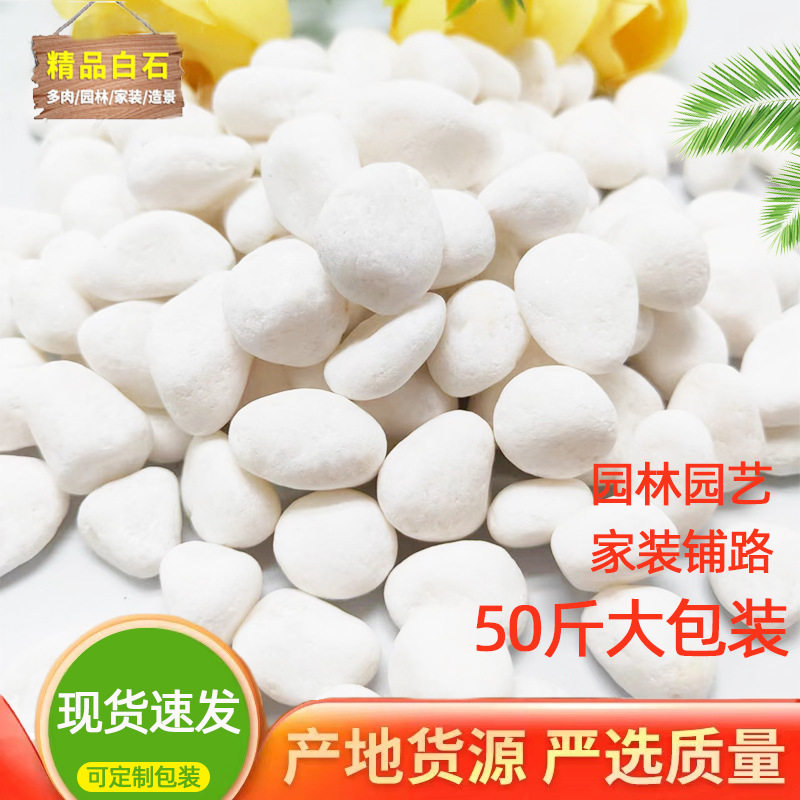 鹅卵石白石子碎石园林铺路庭院装饰白色石子枯山水造景白色砾石子