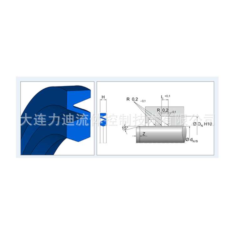 德国Simrit带有前侧凹槽425499 密封欧洲