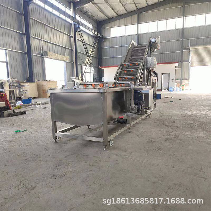 不锈钢果蔬喷淋式清洗机大型商用多功能洗菜机工业气泡洗果机