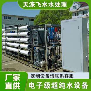 电子一级edi超纯水设备18.25兆欧超高纯水设备RO双级反渗透设备