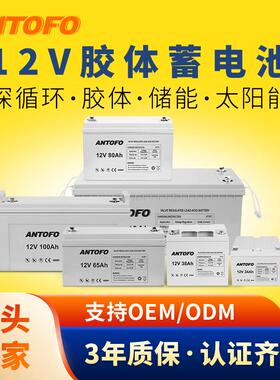 12V24AH-250AH太阳能深循环光伏工程储能铅酸凝胶胶体蓄电池