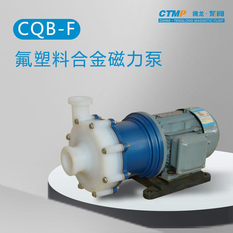 CQB25-20-100F氟合金耐酸泵 防硝酸磁力泵 耐酸碱化工泵厂家 腾龙