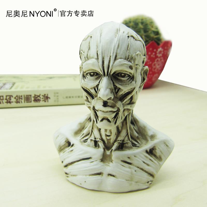 艺用人体骨骼模型树脂模型美术手绘素描静物人物全身骨骼肌肉绘画