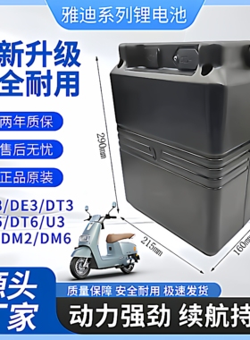 雅迪锂电池DE3提手外壳48v大容量替换款通用40ah20ah原装三元锂