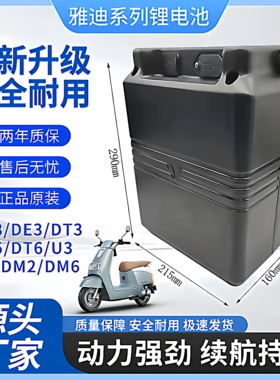 雅迪锂电池DE3提手外壳48v大容量替换款通用40ah20ah原装三元锂