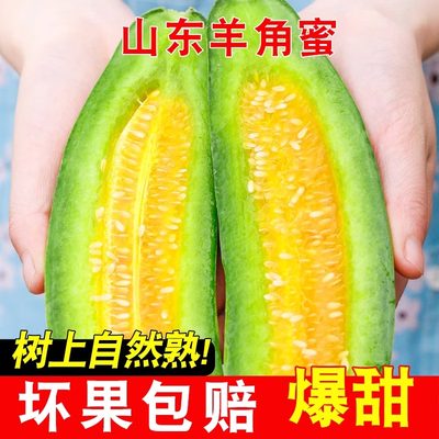 山东羊角蜜甜瓜5斤新鲜水果应当季整箱甜瓜博洋羊角脆蜜瓜10包邮