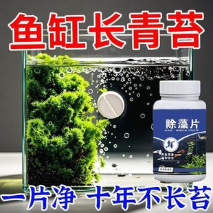 鱼缸鱼池除藻剂去苔剂净青苔水藻清除剂褐藻去除神器绿水绿藻专用