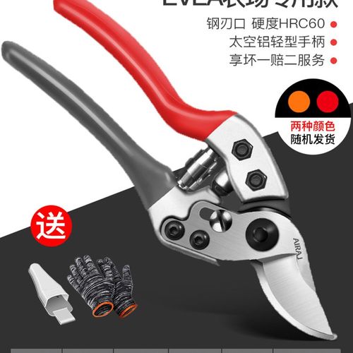 花剪园林园艺大剪刀修枝剪树枝剪刀剪子果树摘菜茶叶水果省力神器