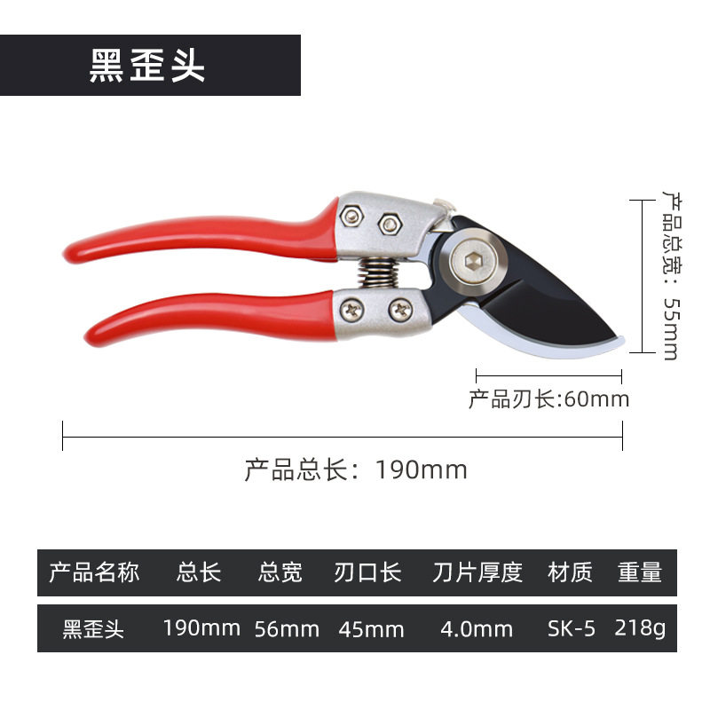 修枝剪园艺园林剪刀果树修枝剪刀剪树枝专用剪刀花艺修花剪刀