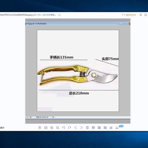 德国进口钢粗枝剪滑轮省力修枝剪刀园艺修花木果树嫁接园林剪工具
