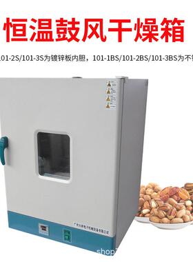 广州食11-10S/1BS小型谷杂粮烘干101-1S/1箱品中药干燥箱恒温五烤