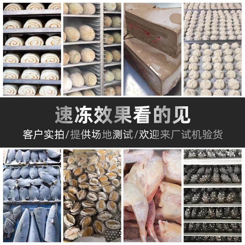 定制超低温插盘速式冻海柜商用榴莲鲜子食品制冷设包备液氮速KDB