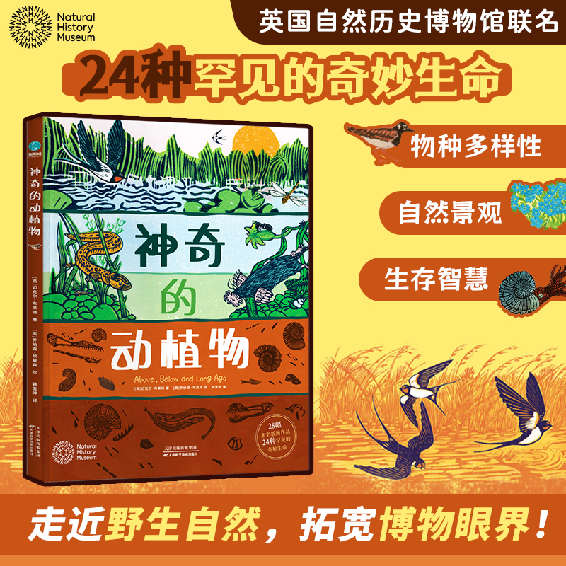 【精装大开本】官方正版书籍 神奇的动植物：英国自然历史博物馆联名出版的艺术级儿童自然科普，送给6-12岁孩子的绝美礼物！