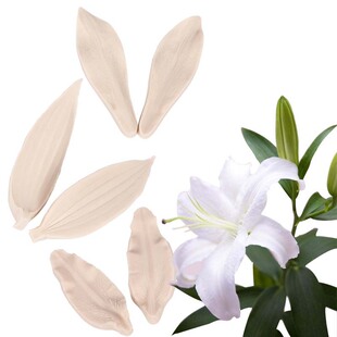 极速Silicone mold, lily flower petals and lePaves, fondant m