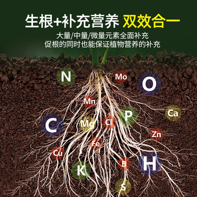 极速快速生根液移栽扦插生根水营养液植物通N用强力花卉多肉大树