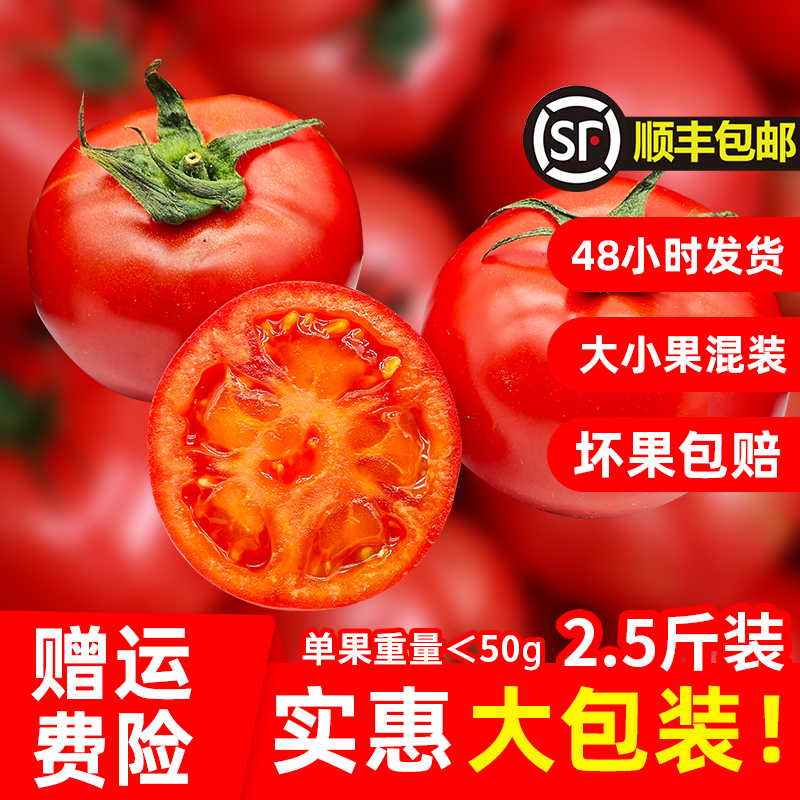 嘉红100现摘水果番茄整箱2.5斤装