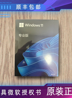 正版win11专业版系统u盘电脑重装Windows10家庭中文版升级Pro纯净