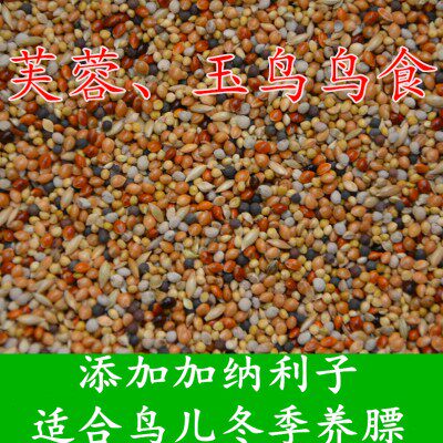 玉鸟芙蓉鸟食饲料白玉金丝雀黄雀文鸟中小型鹦鹉鸟粮加纳5斤包邮