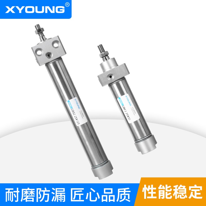 DBS2 32X100方头不锈钢迷你气缸DBF2 32MX50固定型不锈钢迷你气缸