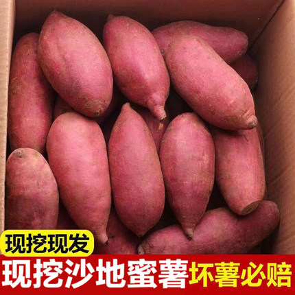 板栗蜜薯新鲜红薯沙地糖心地瓜非山东烟薯番薯25号烤红薯专用9斤