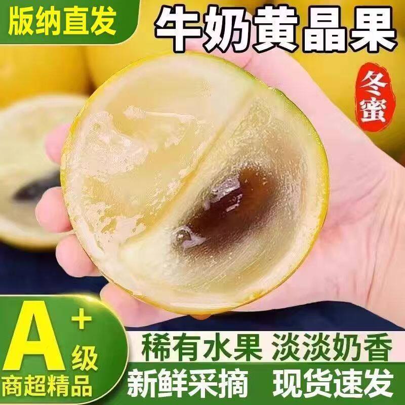 云南西双版纳热带冬蜜牛奶黄晶果新鲜当季蛋黄果孕妇网红黄金水果
