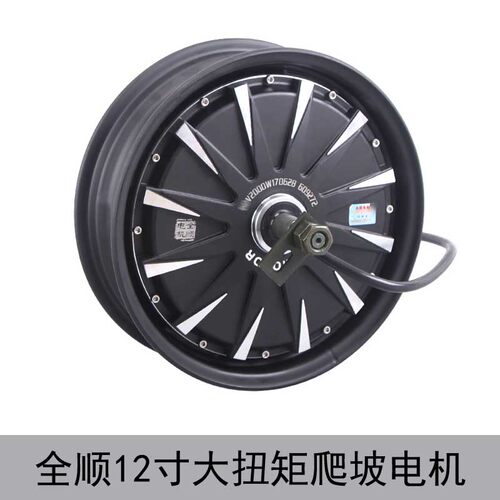 新品全顺12寸电机2000Wt 3000W扭矩电机爬坡增强版电机烧胎蓝德宇