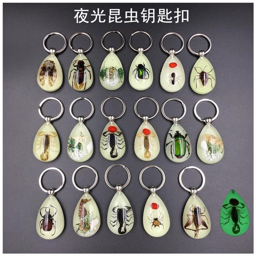极速昆虫标本人工钥匙扣夜光汽车琥珀挂件个性创意V饰品可爱卡通