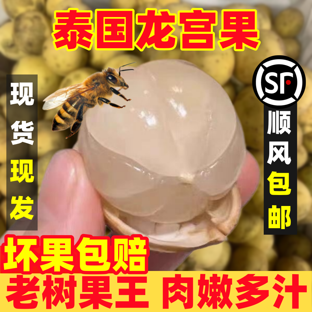 现货泰国进口龙宫果5斤