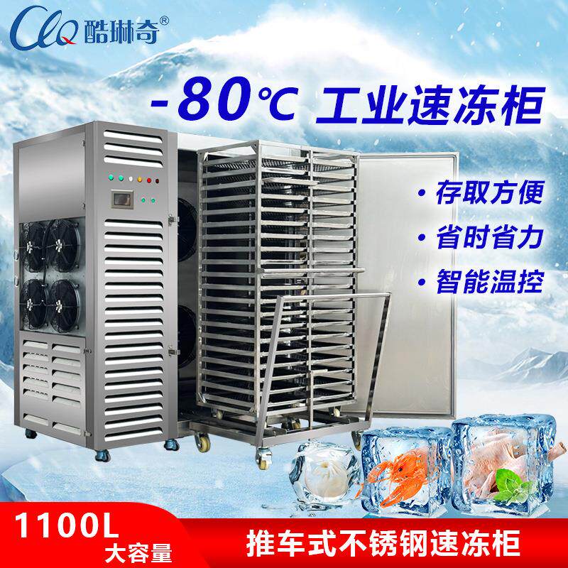 橄机榄杨梅桃水果速冻单樱超低温大型推车式588冷冻急速速体冻柜