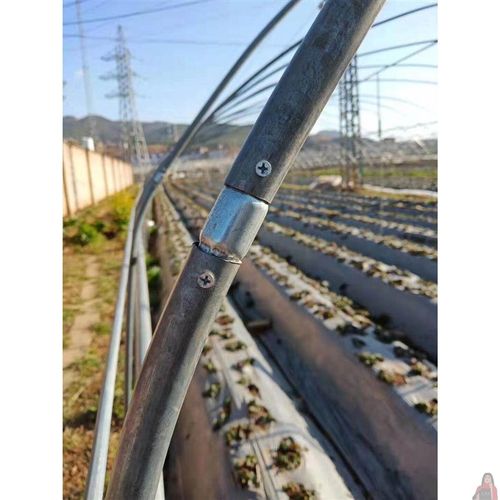 速发大棚钢管接头连接室修复工具温器配件直管内接缩头蔬菜骨架养
