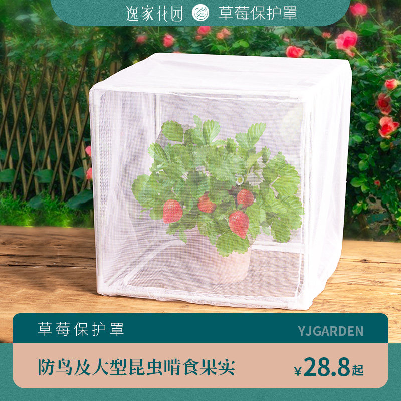 速发植物防虫草台罩莓保护罩防鸟纱网透气菜肉果蔬防虫网罩种多专