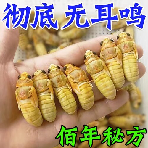 速发【耳晚肖音】耳不鸣当中嗡 买2送1 买送2 活动进行不~