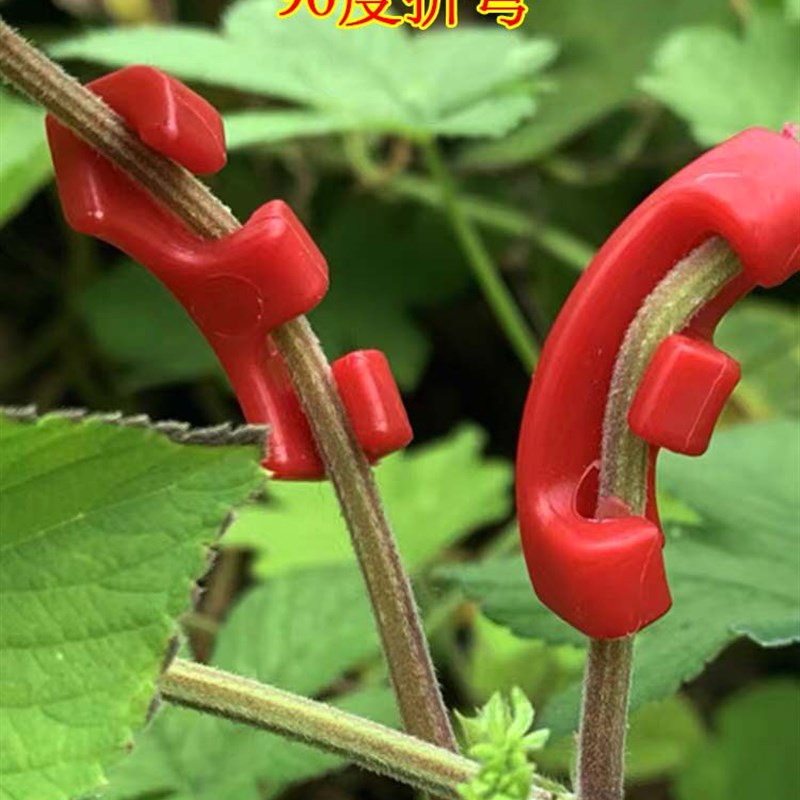 速发采购产品植物固定夹,龙柏树枝定型,果树弯曲树枝,盆景定型