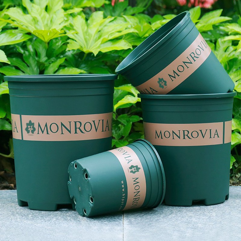 速发2多25新塑加仑盆款料花盆绿萝月季0肉大口径