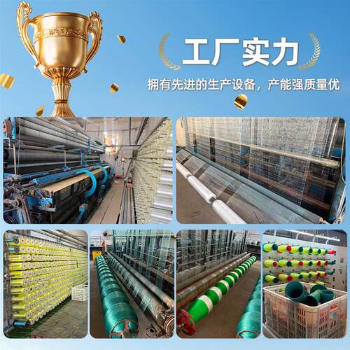 现货鱼塘专用大网孔防鸟网养殖青蛙龙虾泥鳅天网防白鹭Z大型鸟类