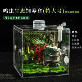 极速用品a螽斯模拟大自然宠物螳螂新品饲养盒叫罐树蛙鸣虫爬宠蛐
