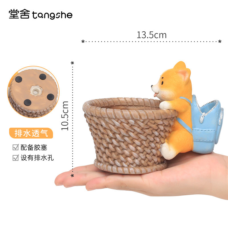 极速柯基多肉花盆创意个r性肉肉植物小盆栽可爱卡通微景观花园阳