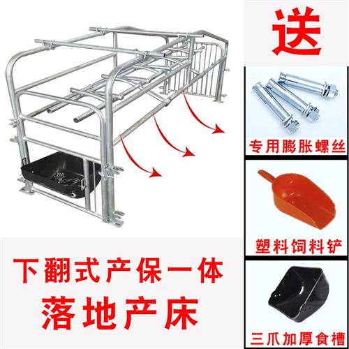 极速落地式母猪产床保育两用热镀锌猪用定位栏限位栏猪.场养殖猪
