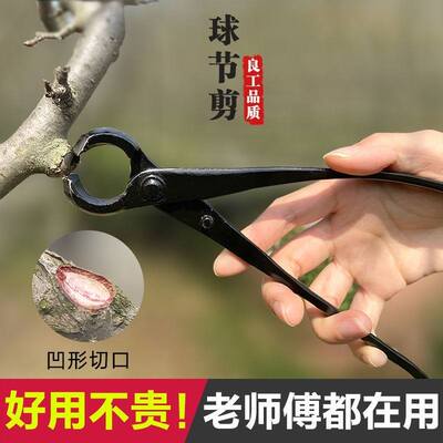 极速枝叶荔枝球形剪剪枝盆景w胡桃钳专业弹簧修枝剪养护套装叶芽