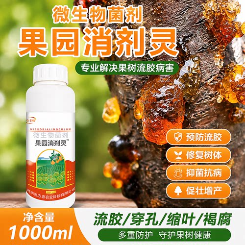 果园消刹灵果树李子树流胶病专用