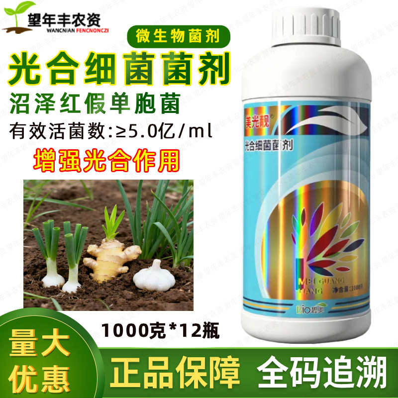 碧奥美光靓沼泽红假单胞菌光合细菌菌剂微生物菌肥大姜大蒜叶面肥