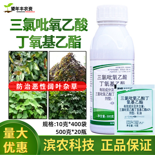 整箱批发价滨农62%三氯吡氧乙酸